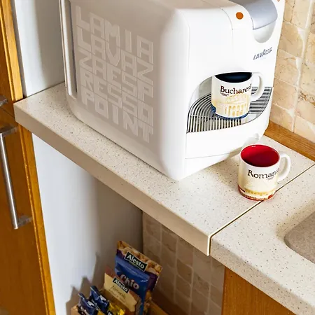 Casa S Piata Alba Iulia Unirii Apartment Bucharest