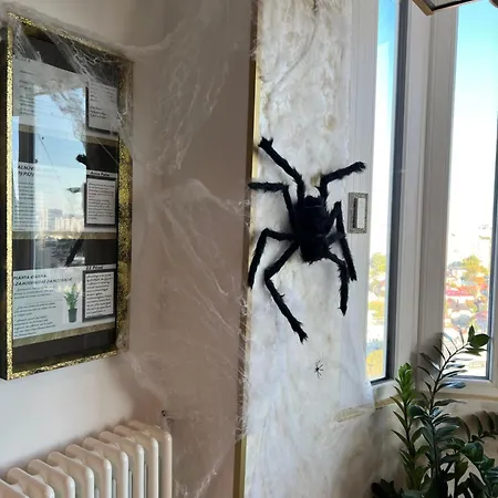 Casa S Piata Alba Iulia *